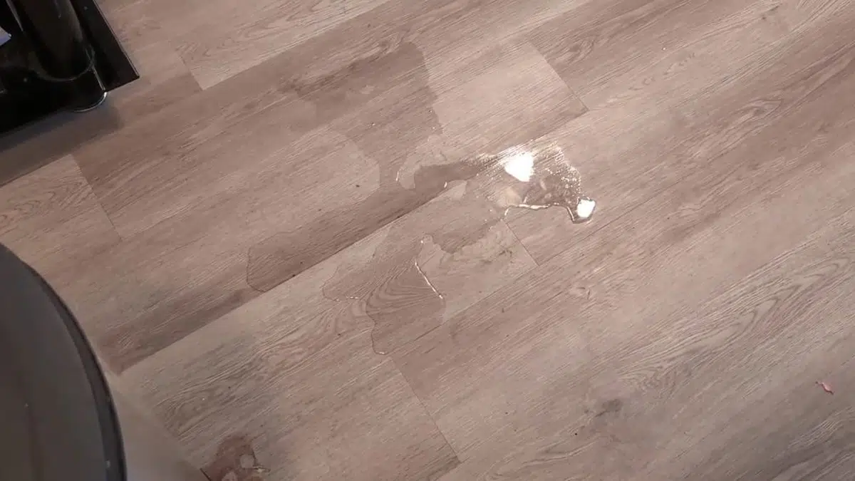 Water puddle on flooring from hidden leak for slab leak detection repair in Stanton