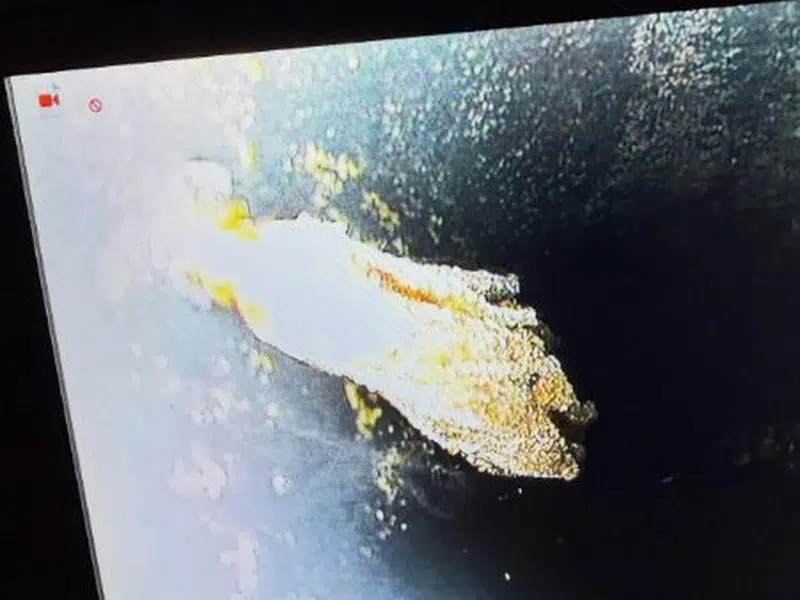 Camera monitor showing pipe interior during leak inspection for sewer line replacement in Stanton