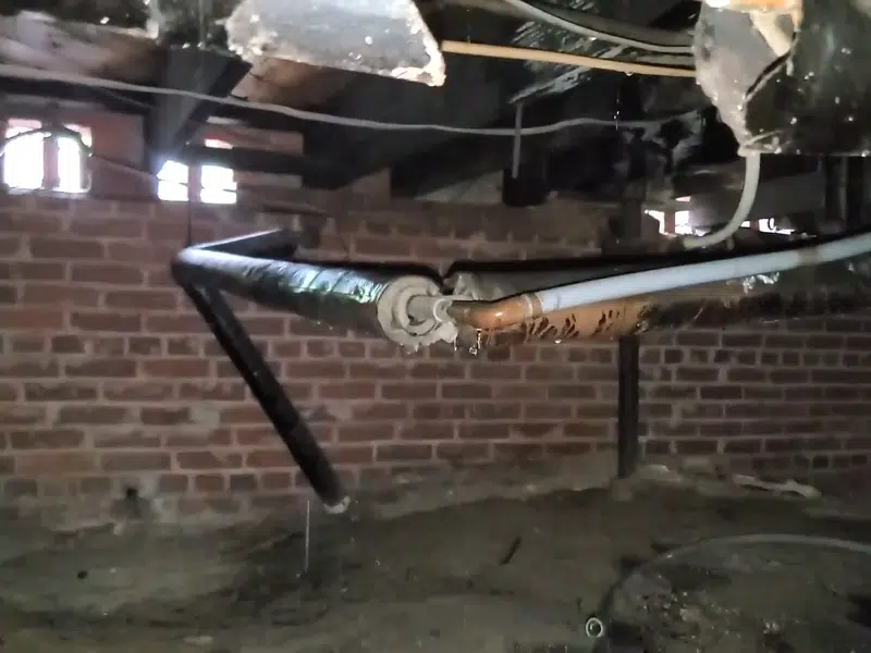 Opened floor and framing showing leak-damaged subfloor for orange in Orange